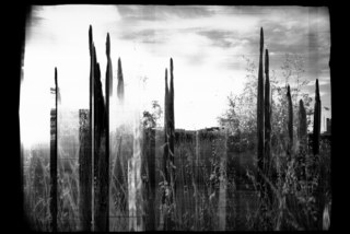 Highline Park, New York City – 2009